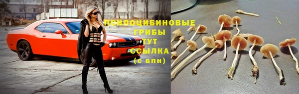 наркотики Алзамай